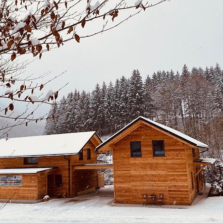 Chalets Lunz Am See Bagian luar foto
